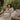 Suavinex Diaper Bags Birth to 24M - Pink Diaper Bags