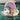SUNNYLiFE Baby Float Princess Swan Multi - S41BFSWN