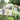 SUNNYLiFE Dino Giant Sprinkler Into the Wild Khaki - S41GISDN