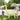 SUNNYLiFE Dino Giant Sprinkler Into the Wild Khaki - S41GISDN