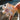 SUNNYLiFE Kids Inflatable Arm Bands Princess Swan Multi - S41FBSWN