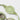 SUNNYLiFE Kids Swim Goggles Cookie The Croc Khaki - S41SGCRC