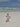 SUNNYLIFE Kids Swim Vest 2 - 3 Sid the Seagull Mustard Stripe - S51VVMS2