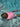 SUNNYLIFE Kids Swim Vest 3 - 6 Cotton Candy Cherry - S51VVPK4