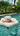 SUNNYLiFE lilac color inflatable Baby Float with canopy Mima the Fairy Lemon - S3LBABMI