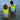 SUNNYLiFE Salty the Shark Swim Vest Aqua Neon Yellow - SCMSVAQS