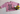 Sweatshirt Combo- Pom Pom and Elephant - KDSWT-2-PMELE-0-6