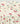 Sweetlime By AS Cherry Print Organic Cotton Co - ord Set. - SLG - DRESS - 01197_0 - 6M