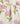 Sweetlime By AS Daisy Print Ruffle Organic Cotton Co - ord Set. - SLG - CO - ORD - 01161_0 - 3M