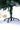 SWEN 4 feet BALSAM christmas tree with light frosting and large pine cones - Christmas Tree