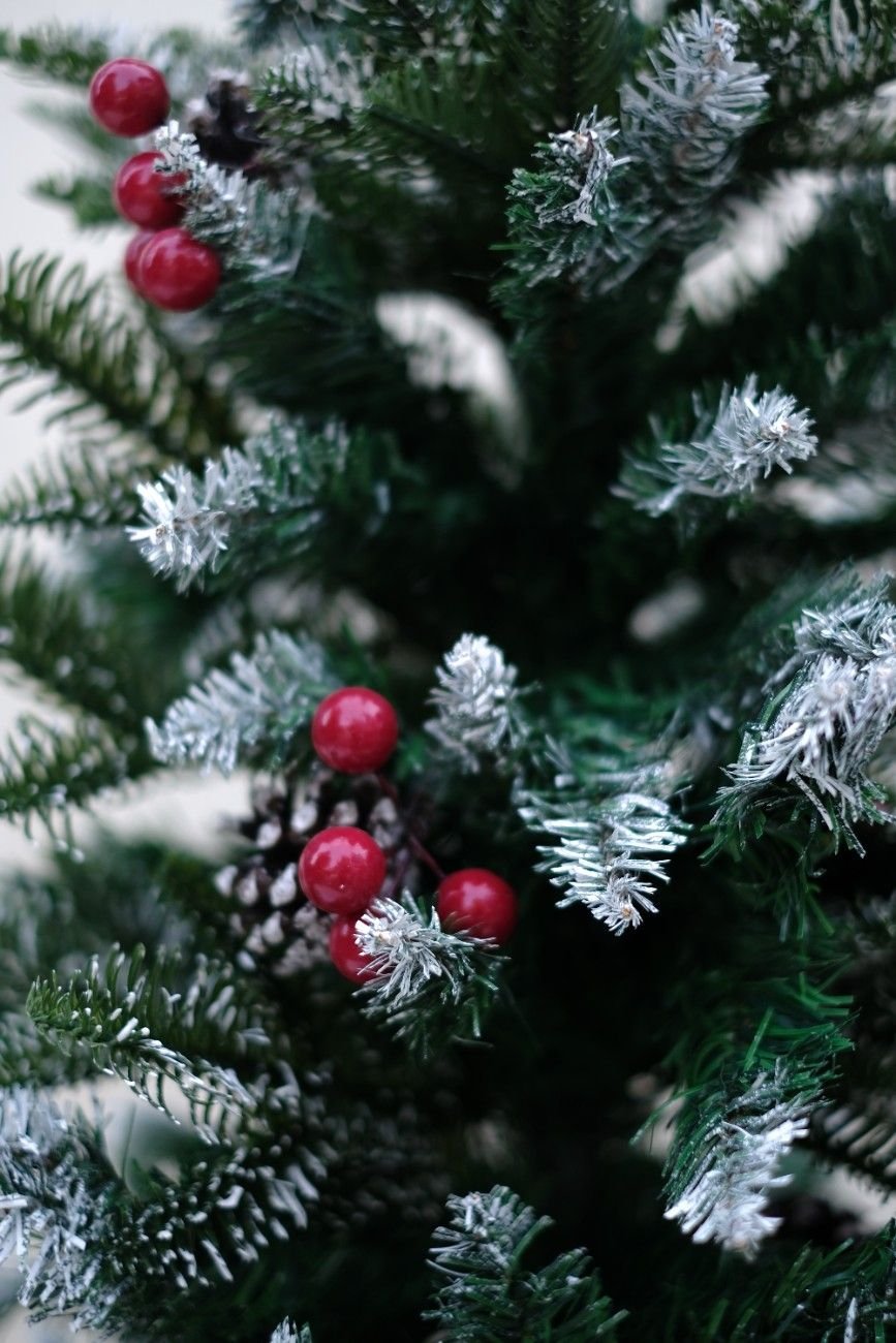 SWEN 4 feet NORTHLIGHT flocked christmas tree pinecones and cherries - Christmas Tree