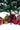 SWEN 4 feet NORTHLIGHT flocked christmas tree pinecones and cherries - Christmas Tree