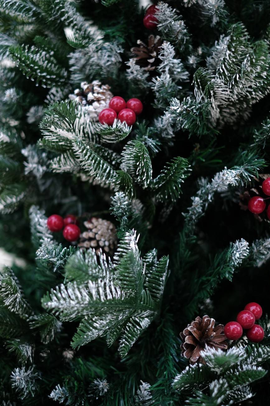 SWEN 6 feet NORTHLIGHT flocked christmas tree pinecones and cherries - Christmas Tree