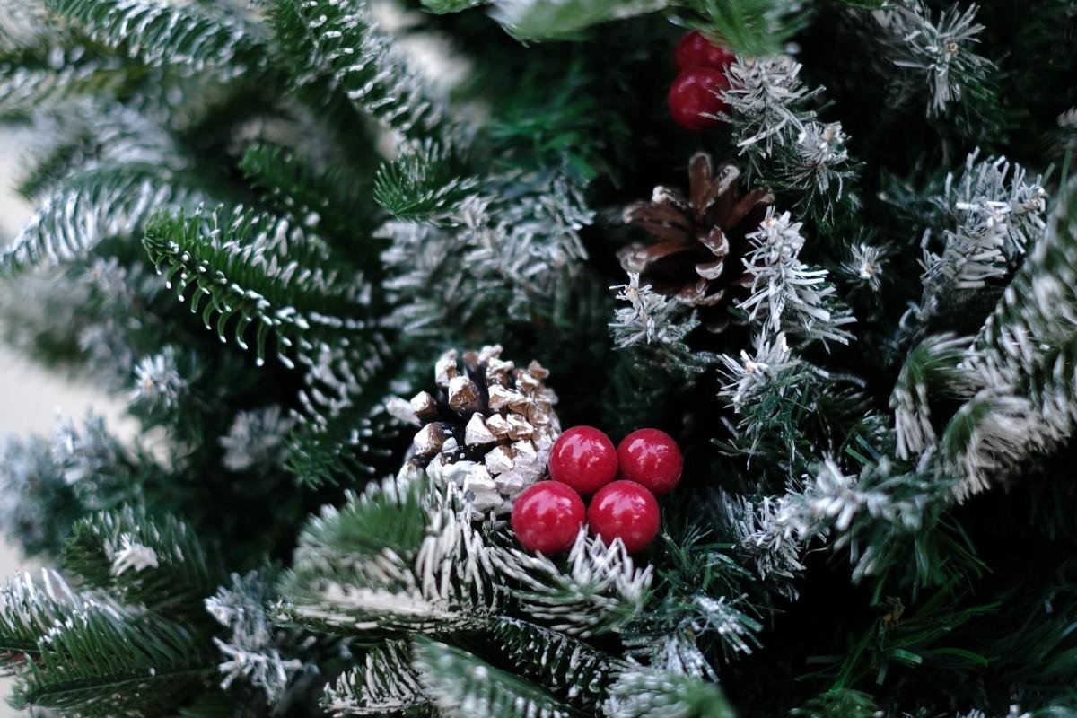 SWEN 6 feet NORTHLIGHT flocked christmas tree pinecones and cherries - Christmas Tree