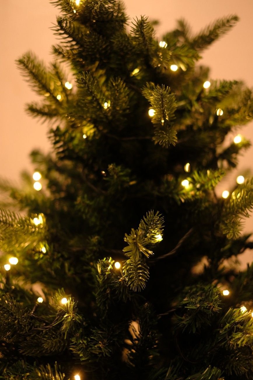 SWEN 6 feet pre - lit MELROSE christmas tree - Christmas Tree