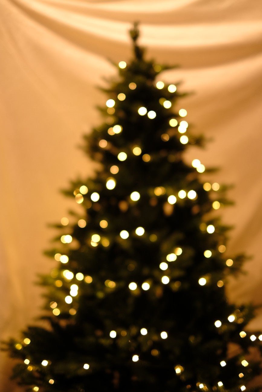 SWEN 6 feet pre - lit MELROSE christmas tree - Christmas Tree