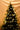 SWEN 6 feet pre - lit MELROSE christmas tree - Christmas Tree