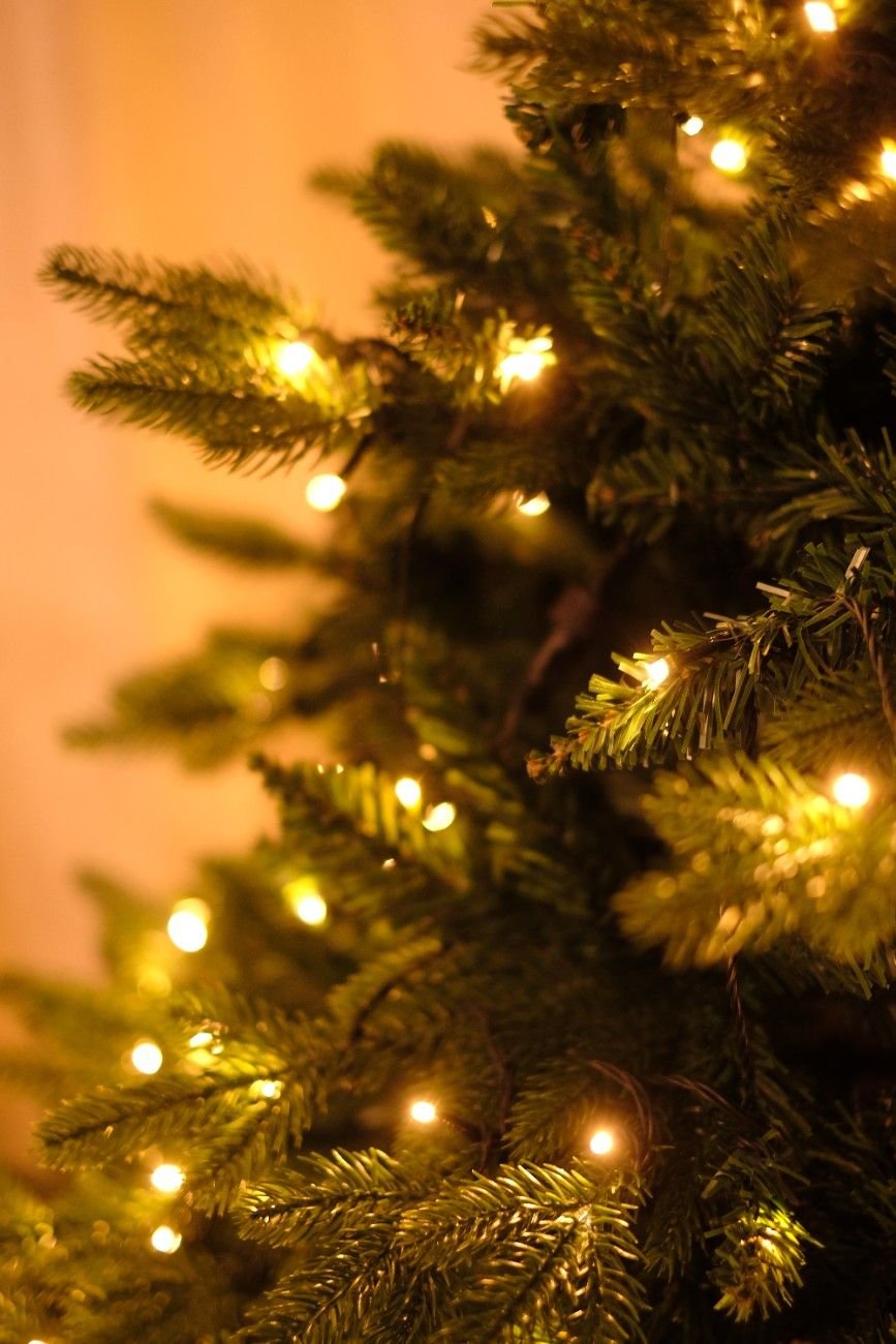 SWEN 6 feet pre - lit MELROSE christmas tree - Christmas Tree