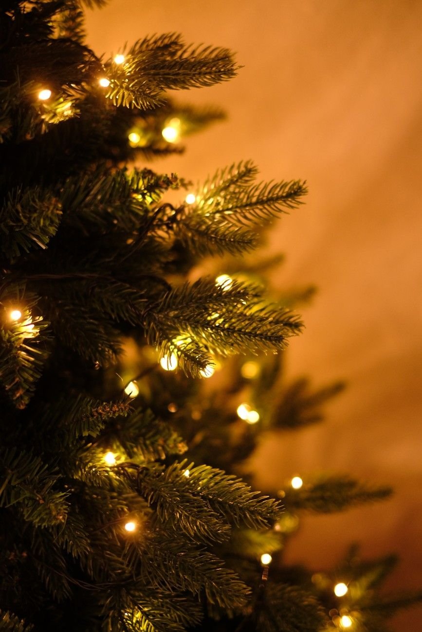 SWEN 6 feet pre - lit MELROSE christmas tree - Christmas Tree