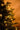 SWEN 6 feet pre - lit MELROSE christmas tree - Christmas Tree