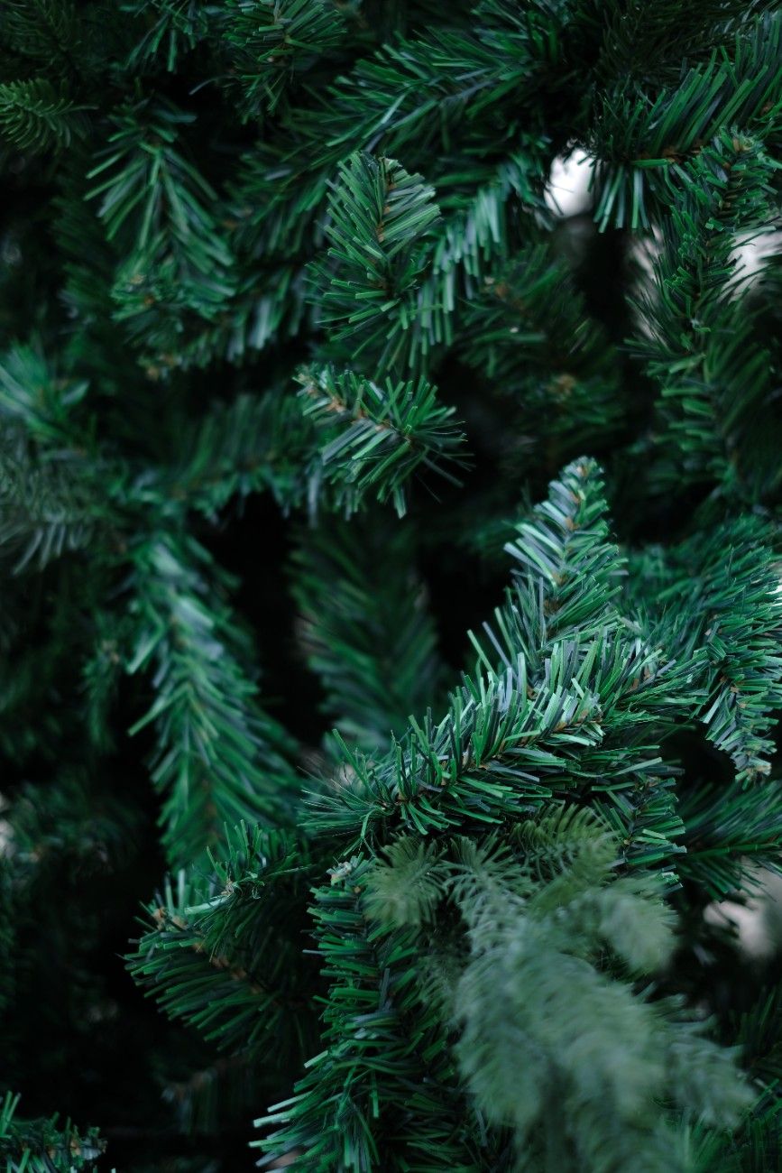 SWEN 8 feet NAPA christmas tree - Christmas Tree