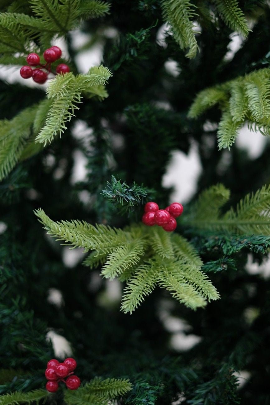 SWEN 8 feet RAZ christmas tree with cherries and dual color leaves - Christmas Tree