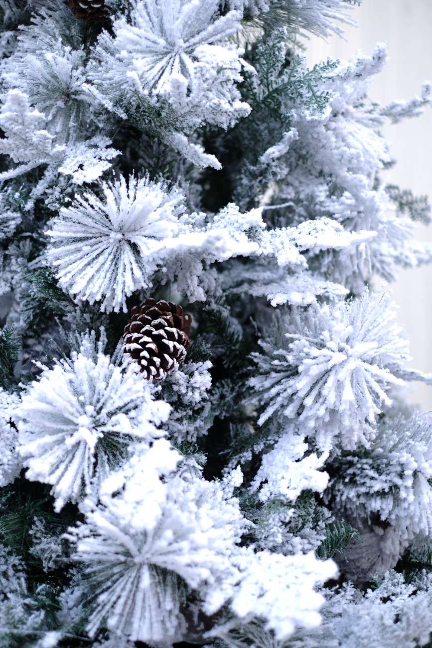 SWEN 8 feet TRUE STAR christmas tree with broad pine leaves, frosting and pine cones - Christmas Tree