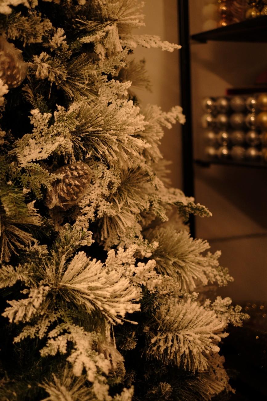 SWEN 8 feet TRUE STAR christmas tree with broad pine leaves, frosting and pine cones - Christmas Tree