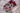 Swen NORAH, pack of two premium Christmas stockings by SWEN - Christmas Stockings