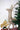 SWEN Rudolph, Shimmering Gold LED Reindeer Decoration - Christmas Decor