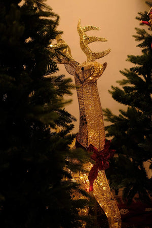 SWEN Rudolph, Shimmering Gold LED Reindeer Decoration - Christmas Decor