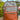 The Limited Edition Diaper Bag for Parents - Luxe Lift - DBG - BP - LETNLX