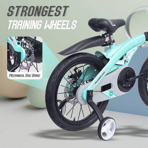Tiny Toes Jazz Bicycle - Lake Blue I 14 Inch - Lake Blue - BLTTB14