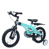 Tiny Toes Jazz Bicycle- Lake Blue I 14 Inch- Lake Blue - BLTTB14