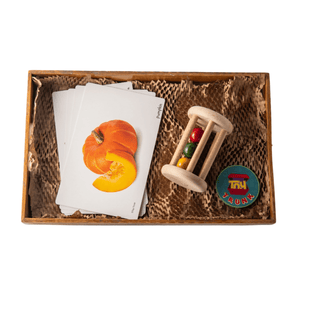 Toy Trunk Cognitive Roll and Learn Set ( Rolling rattle , Vegetable Flash cards) - TTCO004