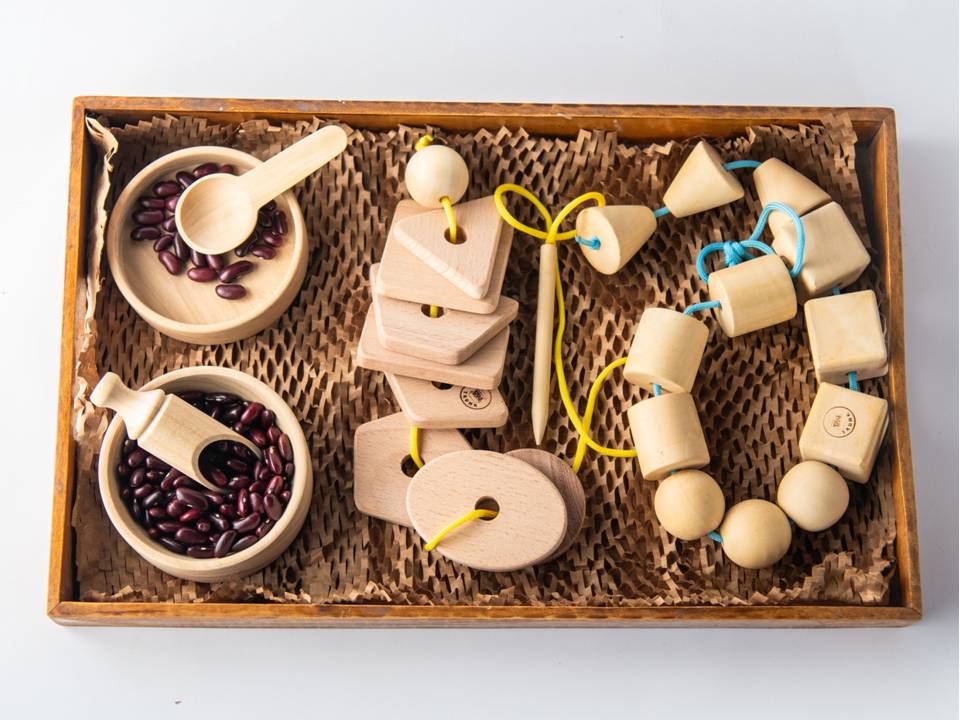 Toy Trunk Mega Montessori Box - TTCO008