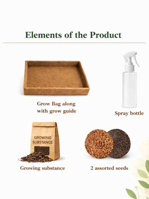 Train Your Brain | Introduction to Gardening Kit | The Mom Store - Gardner's Kit