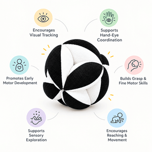 Train Your Brain Montessori Ball - Sensory Toys