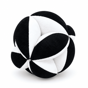 Train Your Brain Montessori Ball - Sensory Toys