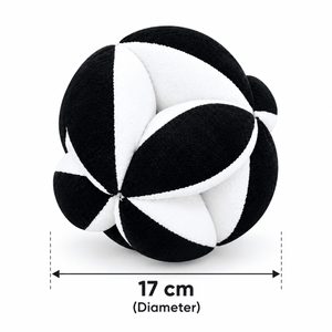 Train Your Brain Montessori Ball - Sensory Toys