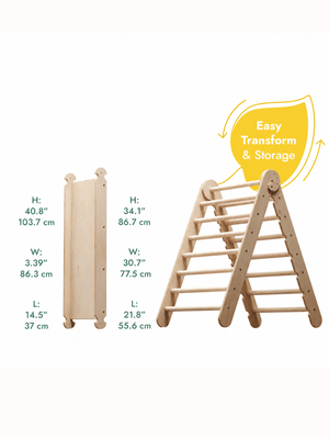 Train Your Brain Swedish Ladder | The Mom Store - Indoor Climbers & Play Structures