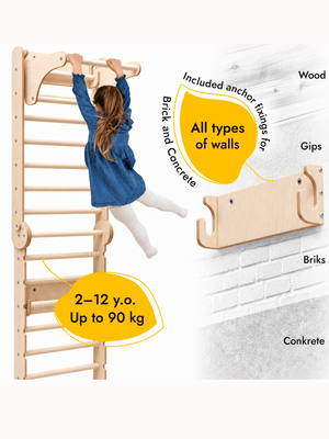 Train Your Brain Swedish Ladder | The Mom Store - Indoor Climbers & Play Structures