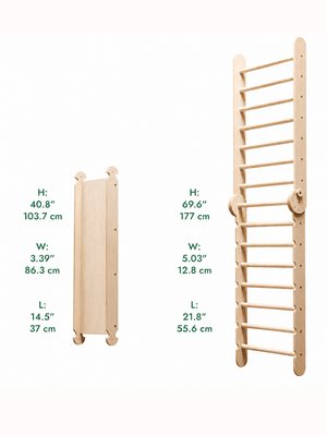 Train Your Brain Swedish Ladder | The Mom Store - Indoor Climbers & Play Structures