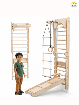 Train Your Brain Swedish Ladder | The Mom Store - Indoor Climbers & Play Structures