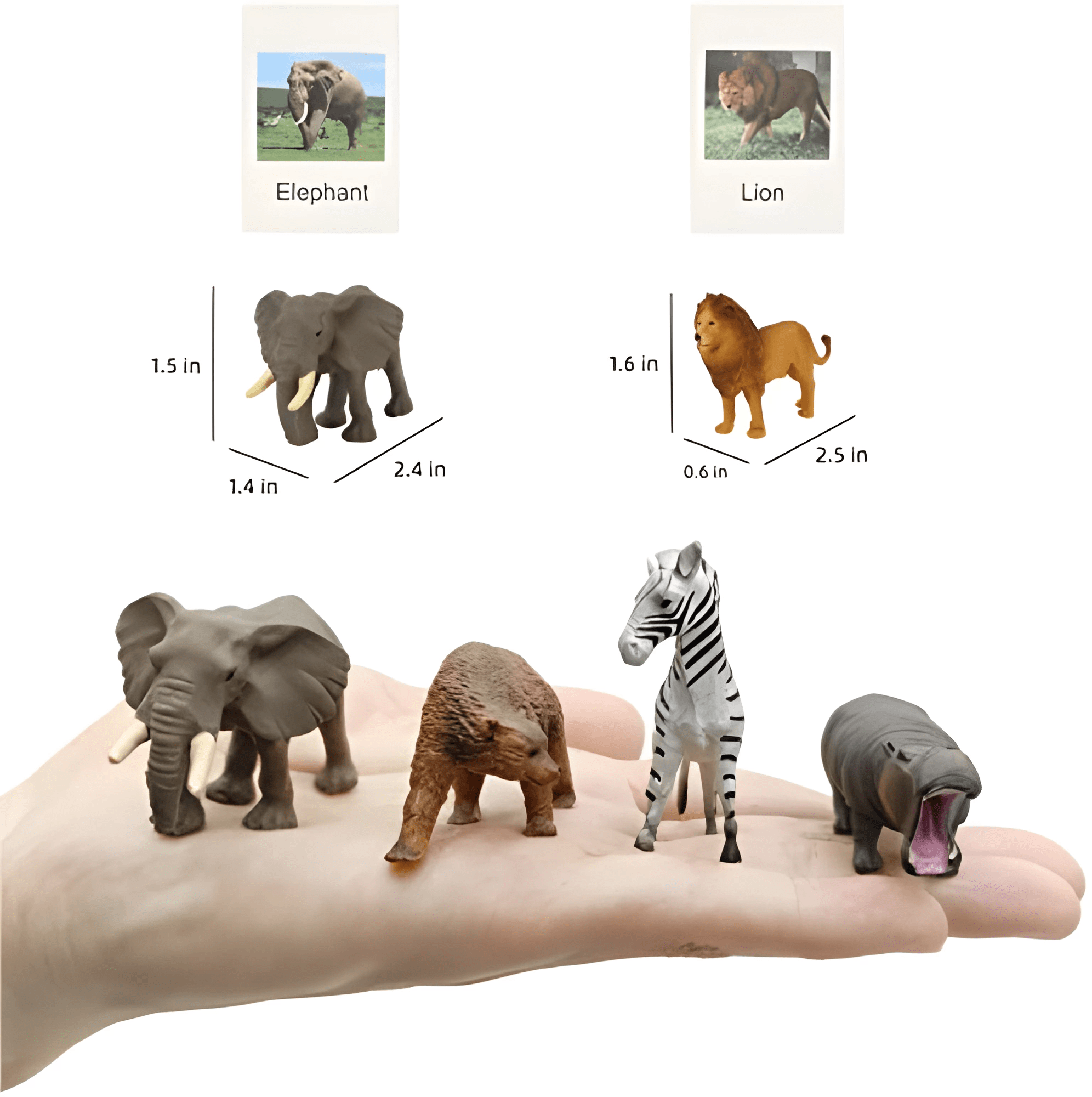 Turtlebee Jungle Box - J01