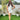 Vanilla Sorbet Co-ord Set - Free-size Women's Co ord Set