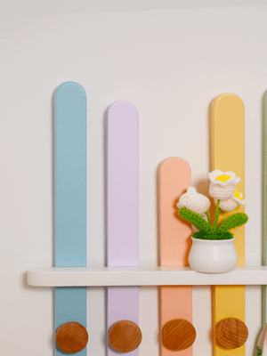 Waddle & Roo Rainbow Peg wall hooks - Room Decor