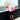 Watercolour Flowers, Chinese Canopy Style Rain and All season Umbrella - Little Surprise BoxWatercolour Flowers, Chinese Canopy Style Rain and All season Umbrella