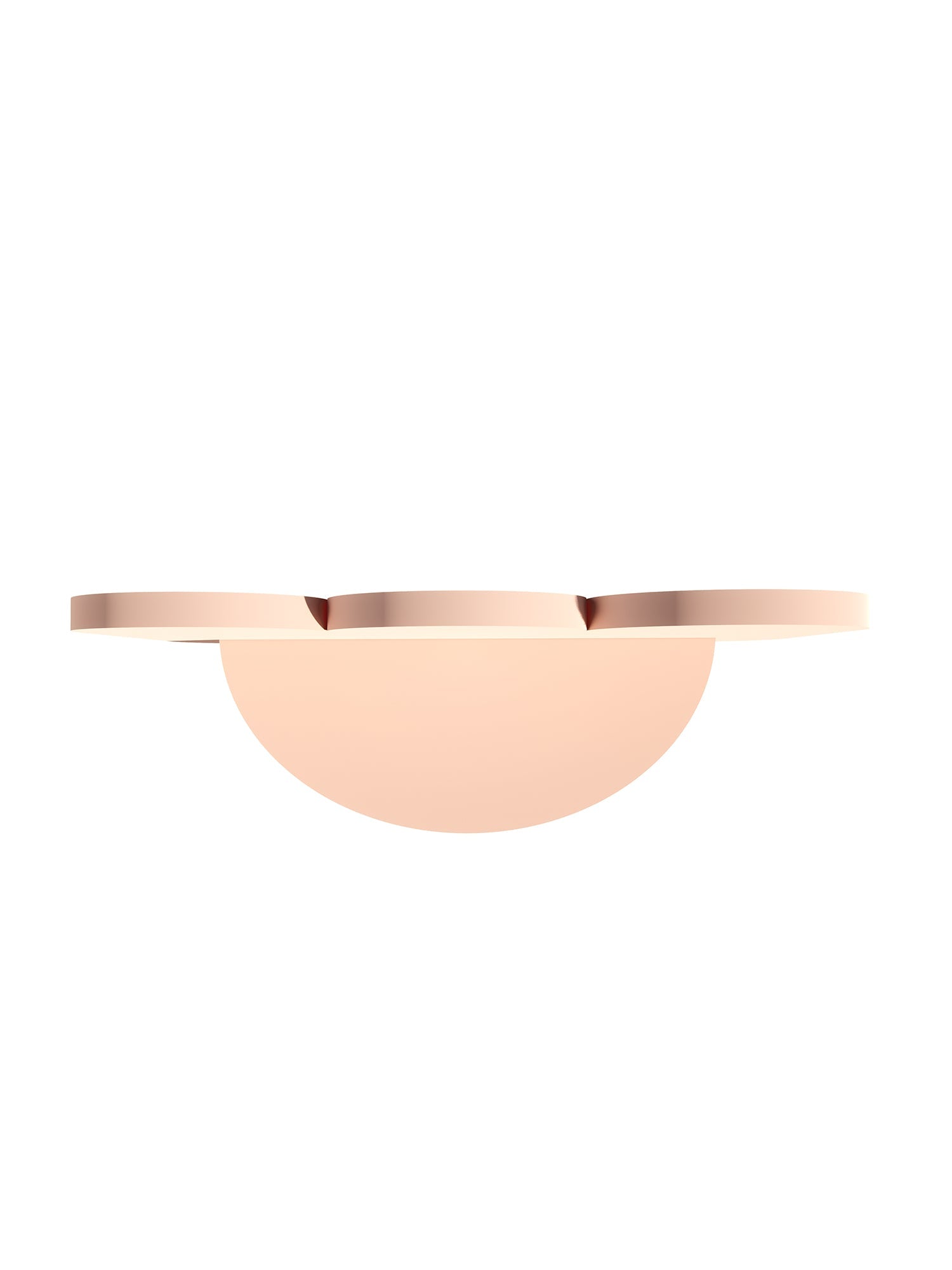W&R Amoeba shelf - AS2 - PER - WR