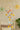 W&R Dreamy - Cots Cot Mobile - DCC - MUR - WR